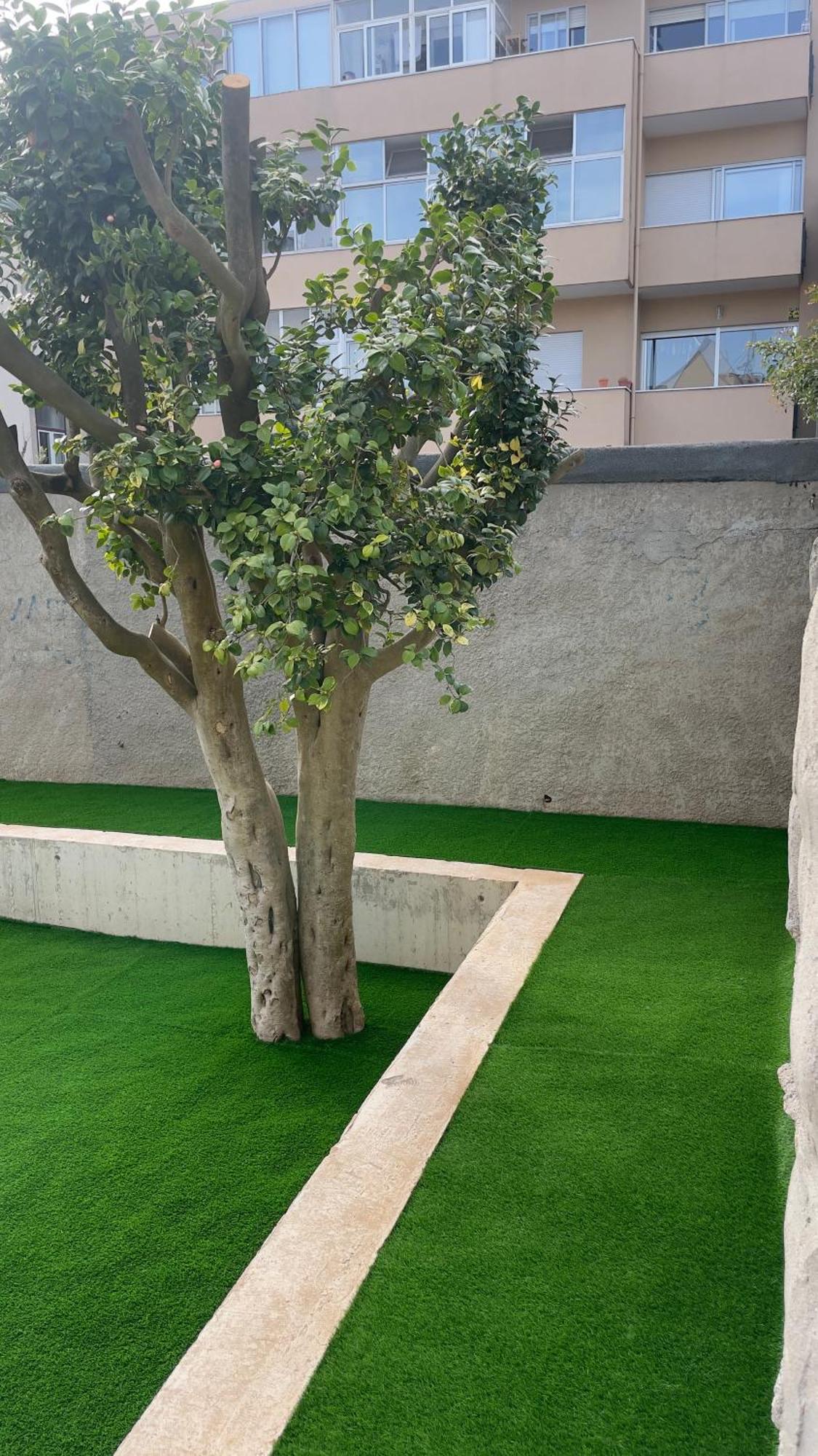 Standard Foz Cool Living Apartament Porto